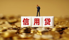 深圳21哪有个人借贷-深圳21小额贷款公司-深圳21私借空放免费上门
