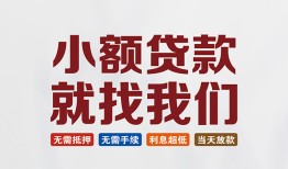 深圳21私人放贷-深圳21个人借贷不查征信-深圳21个人身份证贷款