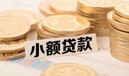 深圳21身份证贷款平台-深圳21私人借贷不查征信-深圳21空放借钱